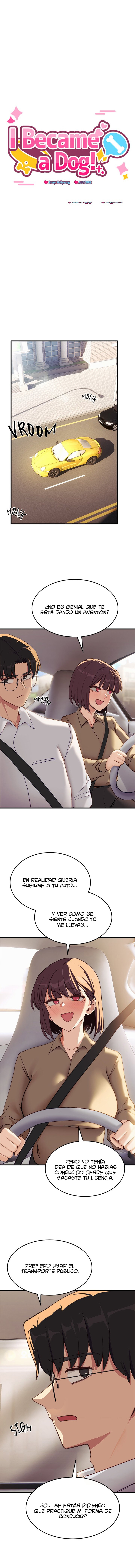 Imagen del capítulo 6